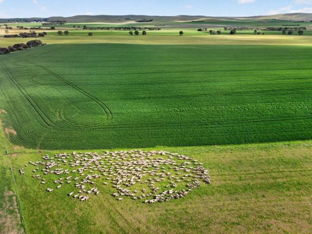Acreage for sale in Goyder, South Australia