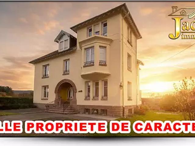 Maison vente à Saint-Dié-des-Vosges, Provenchères-sur-fave