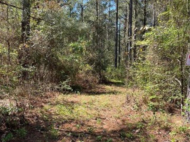 Land for sale in De Soto, Louisiana