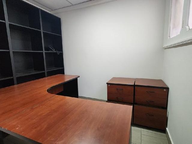 Providencia, Los leones 1000