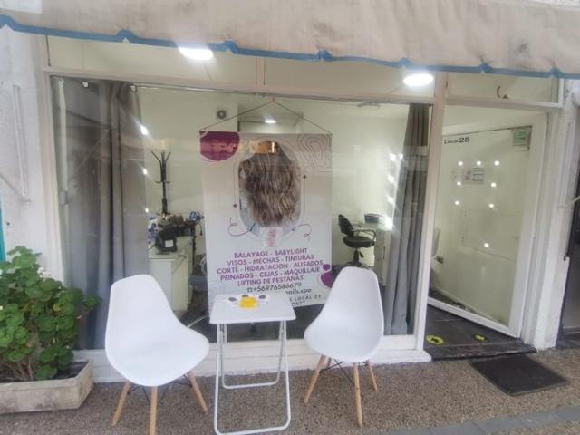 Providencia, Manuel Montt