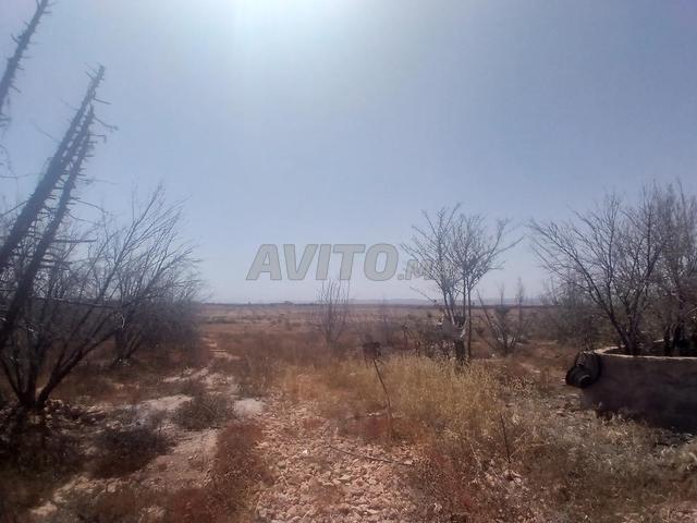Maison vente à Tiznit, Oued ed Dahab-Lagouira