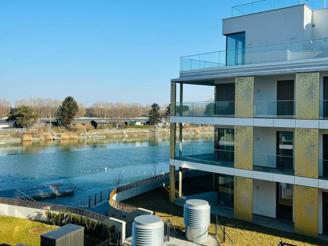 Apartment kaufen in Döbling, Wien