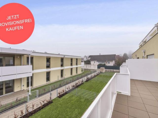 Wohnung kaufen in Baden, Niederösterreich