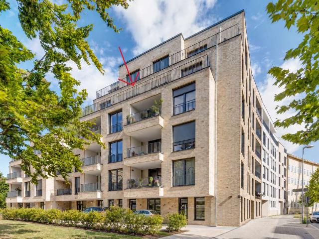 Wohnung kaufen in Mitte, Braunschweig