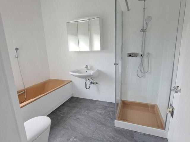 Wohnung mieten in Wilhelmsburg, Niederösterreich