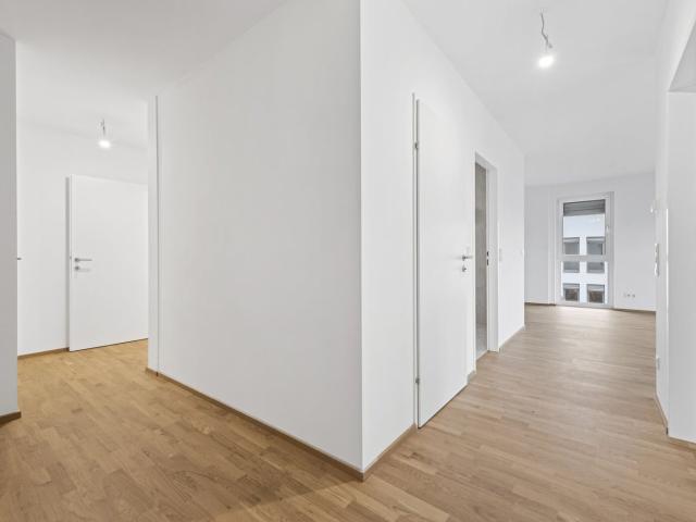 Wohnung kaufen in Wiener Neustadt, Niederösterreich