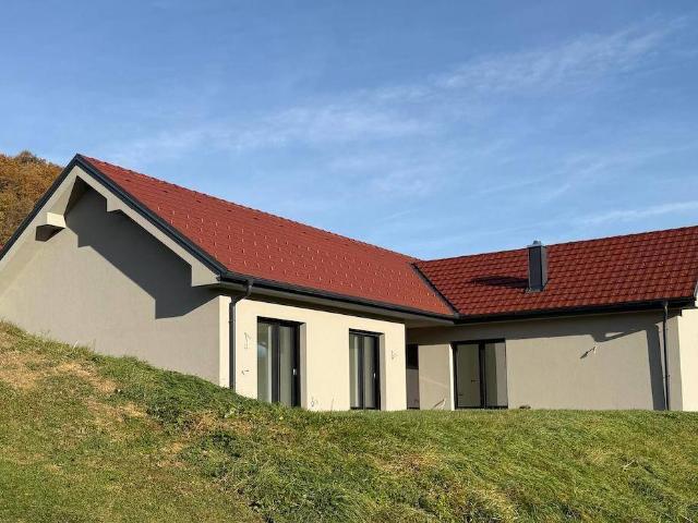 Haus kaufen in Feldbach, Steiermark