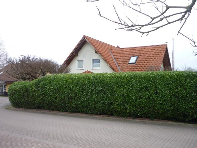 Haus kaufen in Udenheim, Rheinland-Pfalz