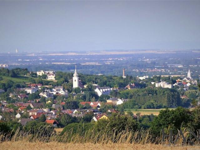 Gewerbe mieten in Bad Vöslau, Niederösterreich