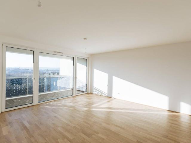 Apartment kaufen in Liesing, Wien