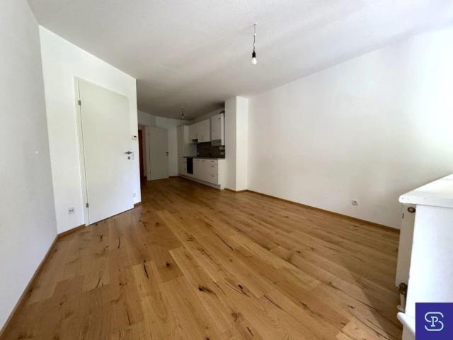 Apartment mieten in KG Ober St. Veit, Wien