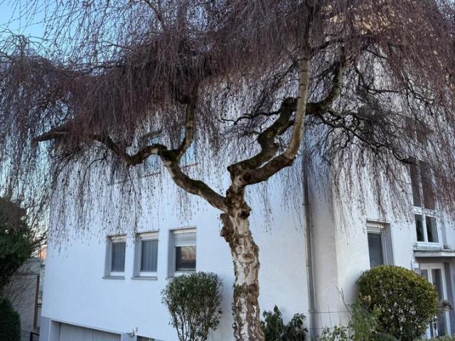 Wohnung kaufen in Aplerbeck, Dortmund