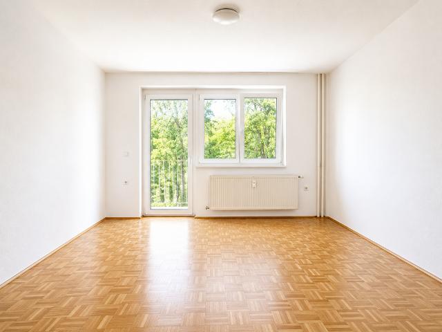 Apartment mieten in Katastralgemeinde Gries, Graz