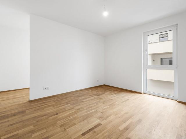 Wohnung kaufen in Wiener Neustadt, Niederösterreich