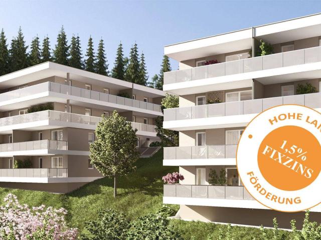Apartment kaufen in Aurachamhongar, Oberösterreich