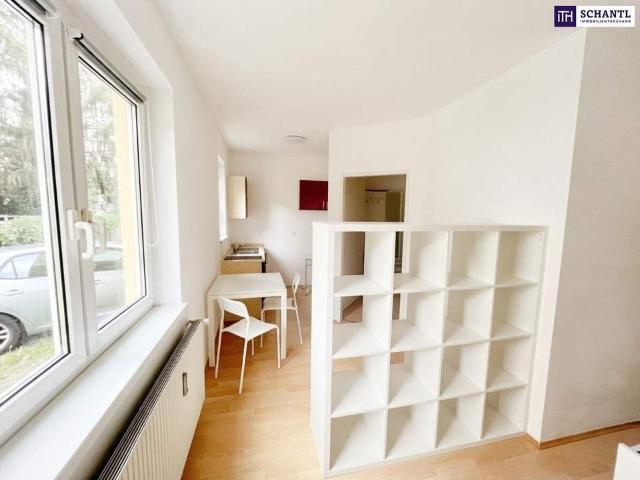 Wohnung kaufen in Katastralgemeinde Graz Stadt-Weinitzen, Graz