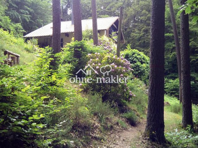 Haus kaufen in Langmühle, Lemberg