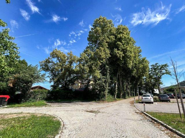 Apartment kaufen in Ansfelden, Nettingsdorf Apartment kaufen in Ansfelden, Nettingsdorf