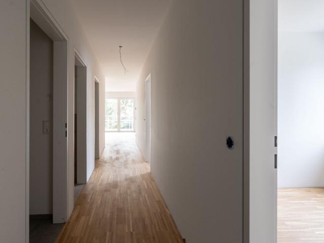 Wohnung kaufen in Nettingsdorf, Ansfelden