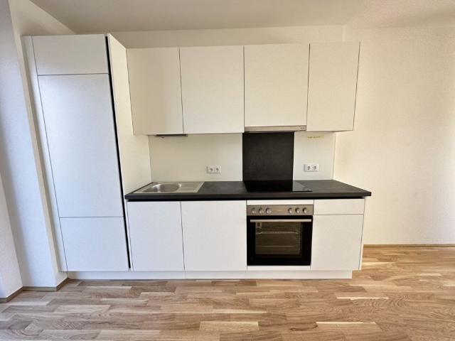 Apartment mieten in Katastralgemeinde Lend, Graz