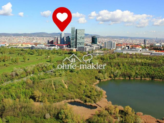 Wohnung kaufen in KG Inzersdorf Stadt, Wien