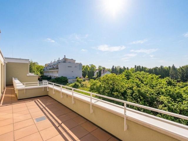 Wohnung kaufen in Bad Vöslau, Niederösterreich
