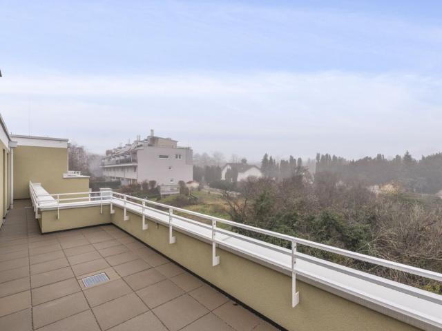 Wohnung kaufen in Bad Vöslau, Niederösterreich