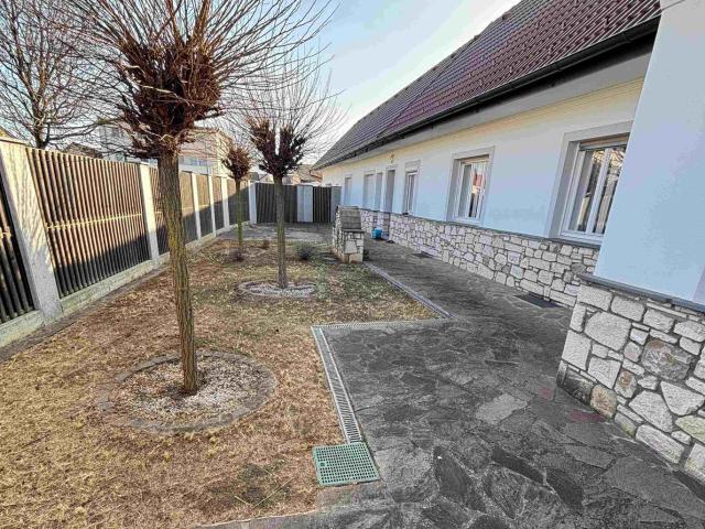 Haus kaufen in St. Andrä am Zicksee, Burgenland