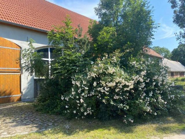 Haus kaufen in Klein Bünzow, Mecklenburg-Vorpommern