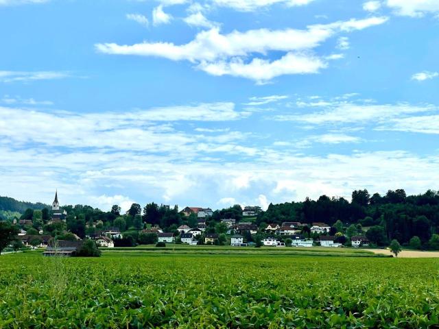 Immobilie kaufen in St. Veit an der Glan, Kärnten