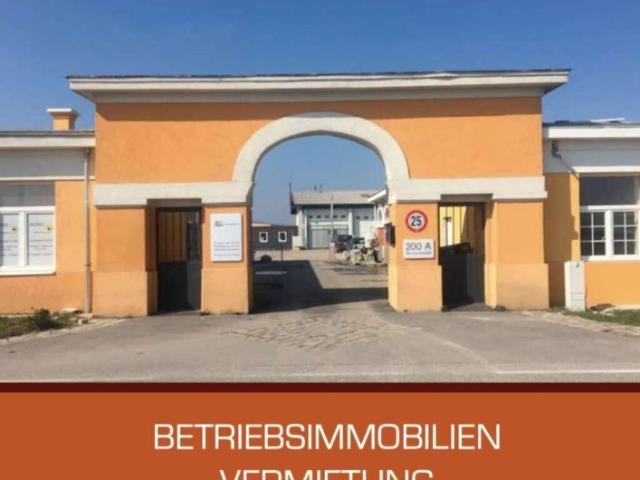 Immobilie kaufen in Ebenfurth, Niederösterreich