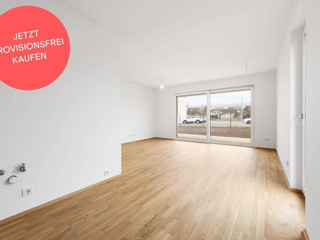 Apartment kaufen in Wiener Neustadt, Niederösterreich