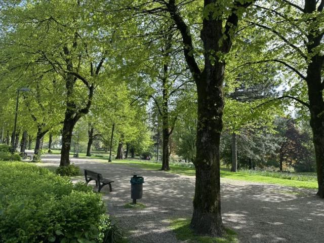 Gewerbe kaufen in Südviertel, Essen