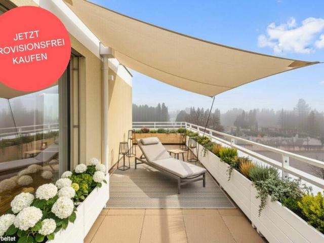 Wohnung kaufen in Baden, Niederösterreich
