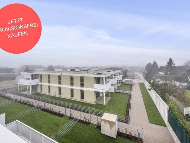 Wohnung kaufen in Baden, Niederösterreich