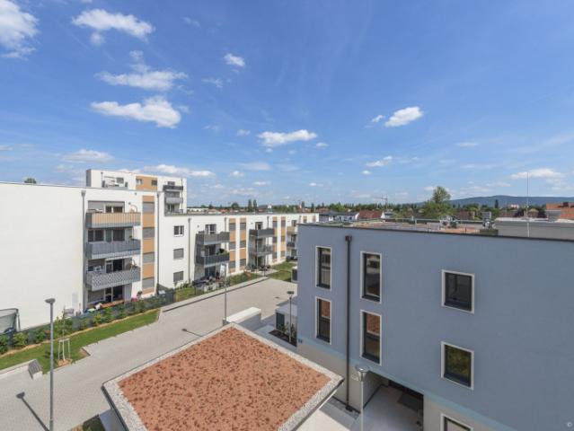 Wohnung kaufen in Wiener Neustadt, Niederösterreich