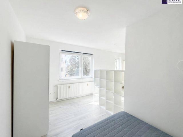 Apartment kaufen in Katastralgemeinde Wetzelsdorf, Graz