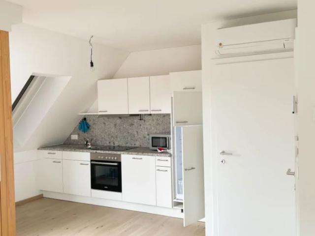 Apartment mieten in Mettersdorf am Saßbach, Steiermark