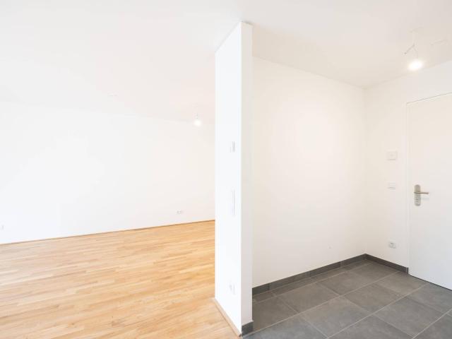 Apartment mieten in Wiener Neustadt, Niederösterreich
