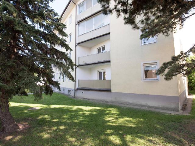 Apartment kaufen in Brunn am Gebirge Apartment kaufen in Brunn am Gebirge