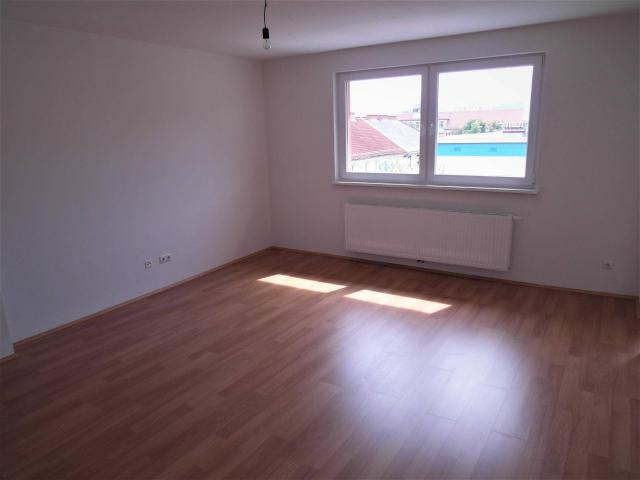 Apartment mieten in Katastralgemeinde Lend, Graz