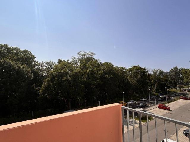 Apartment mieten in Wiener Neustadt