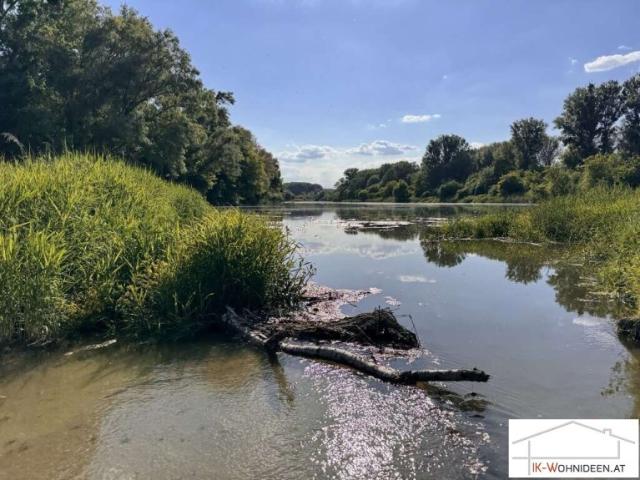 Wohnung kaufen in Maria Ellend, Niederösterreich