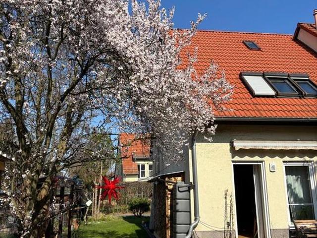 Haus kaufen in Bahnhofsvorstadt, Brandenburg