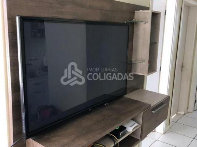 Apartamento venda em Passo Fundo