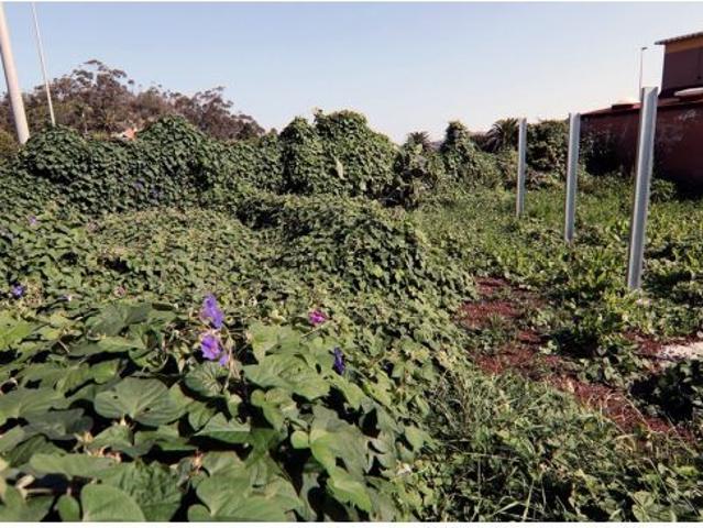Local Comercial en venta en San Cristóbal de La Laguna, Canarias