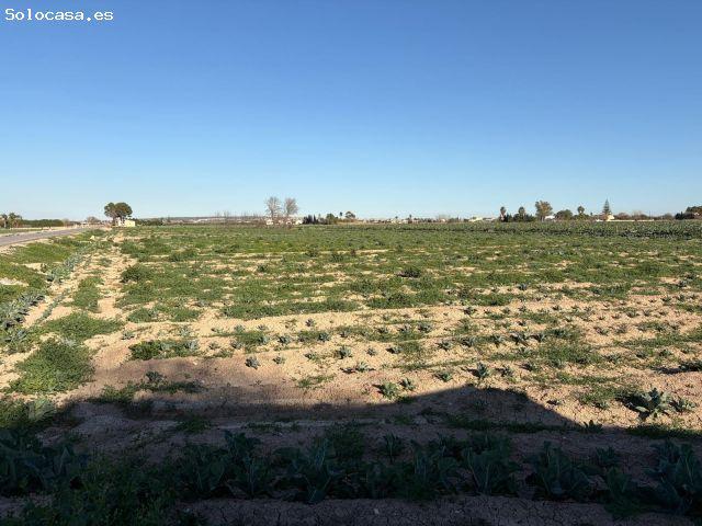 Casa en venta en La Florida, el Baix Segura / La Vega Baja