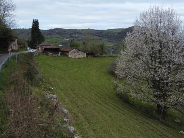Terreno en venta en Morcín, Asturias