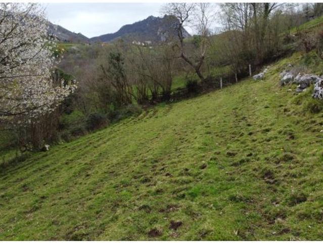 Local Comercial en venta en Morcín, Asturias